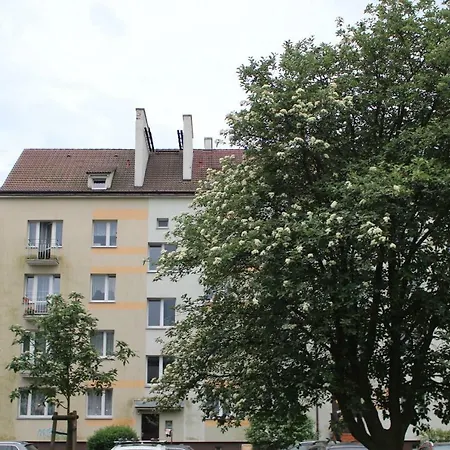 Apartment Kobalt - Wielkopolska *